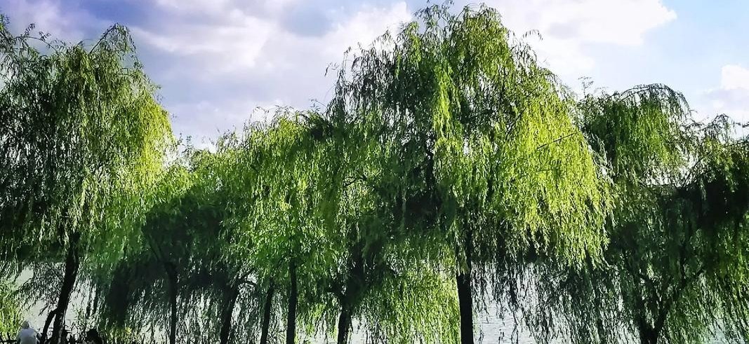 白云湖公园 - 白云区标志性景观