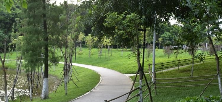 大学城中心湖 - 大学城标志性景观