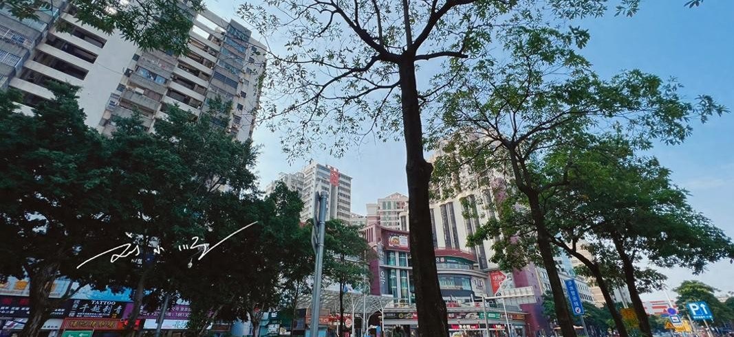 番禺广场 - 番禺区标志性景观