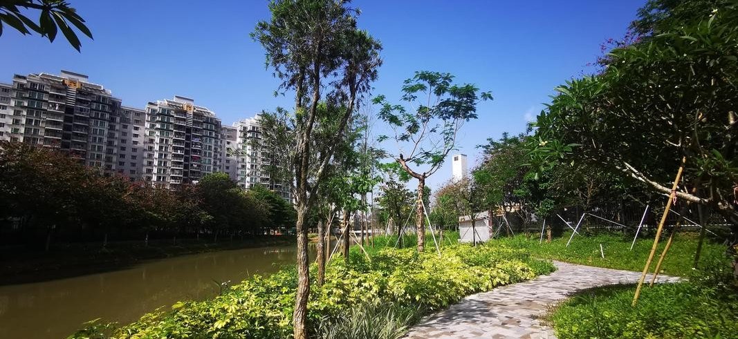 市桥水道 - 桥南街道标志性景观
